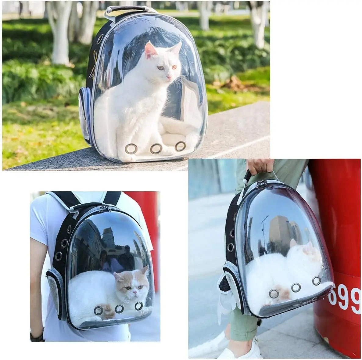 Cat Pet Carrier Backpack Transparent Small Animal Puppy Kitty