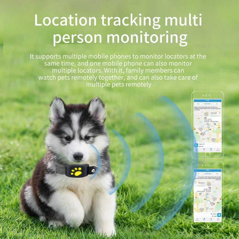 GPS Tracking  Collar Anti-Lost Device Real Time Tracking Locator