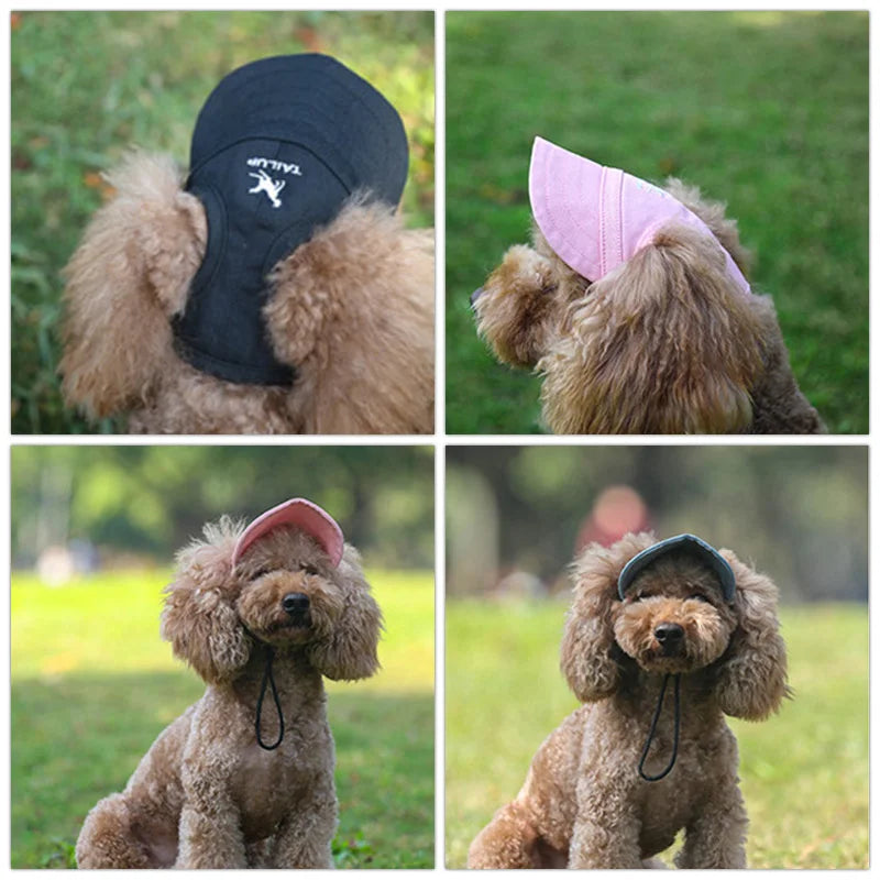 Pet Dog Caps Always protected from the sun