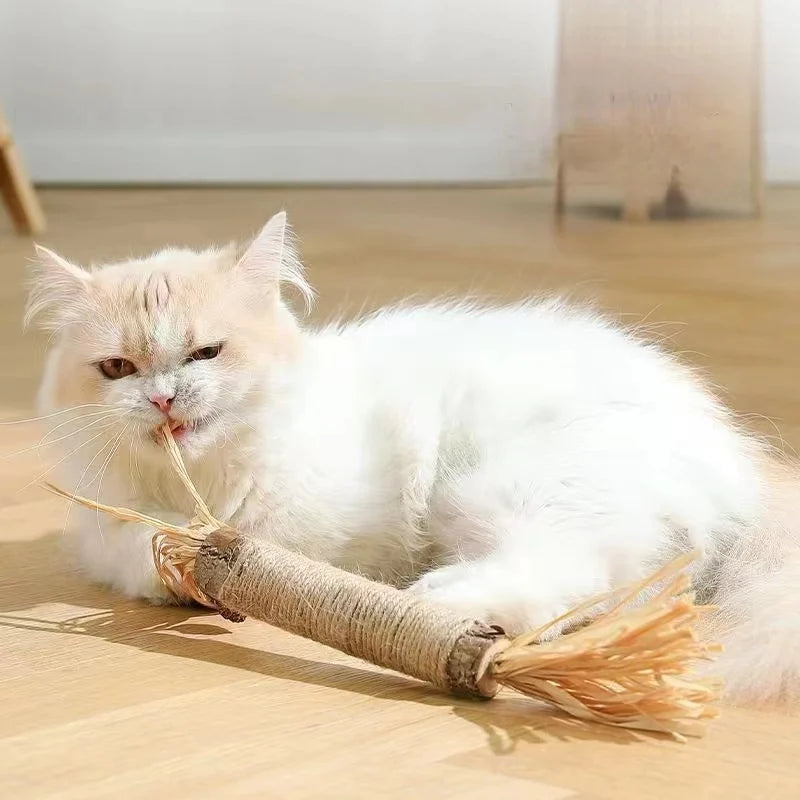 Catnip Cat Toys Natural Matatabi Pet Cat Snacks Stick Cleans Tooth