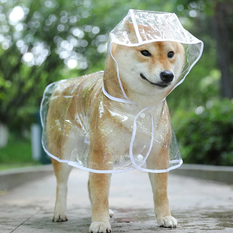 Pet Dog Puppy Transparent Rainwear Raincoat