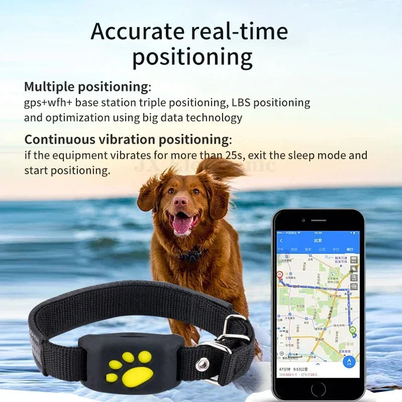 GPS Tracking  Collar Anti-Lost Device Real Time Tracking Locator