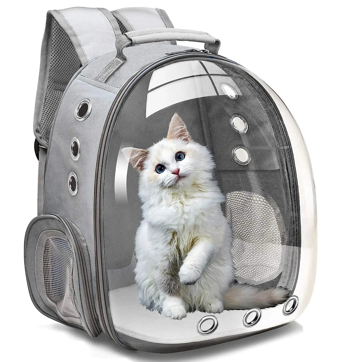 Cat Pet Carrier Backpack Transparent Small Animal Puppy Kitty