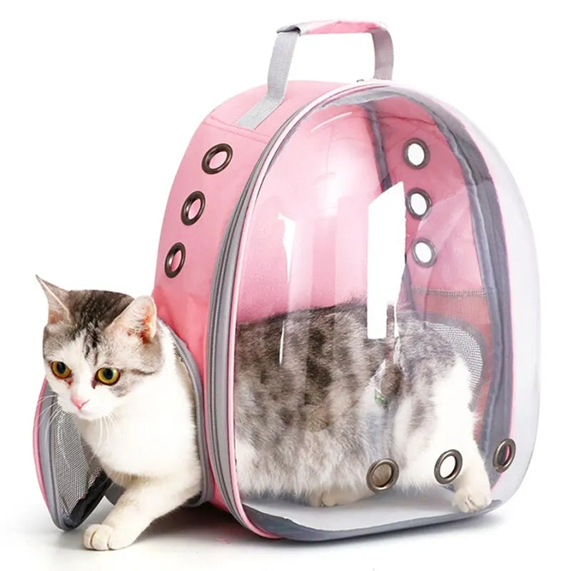 Cat Pet Carrier Backpack Transparent Small Animal Puppy Kitty