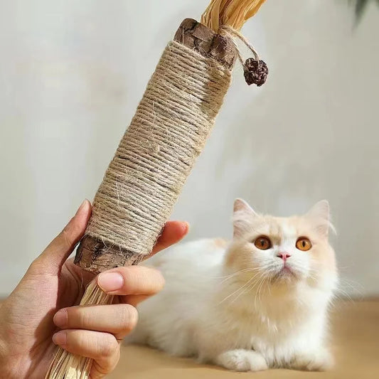 Catnip Cat Toys Natural Matatabi Pet Cat Snacks Stick Cleans Tooth